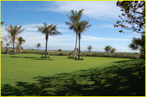 irrigation landscape photo