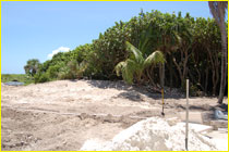 irrigation landscape photo