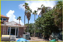 irrigation landscape photo