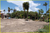 irrigation landscape photo