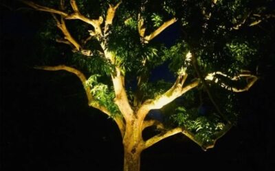 Beautiful Patio and Landscape Lighting in Greenacres