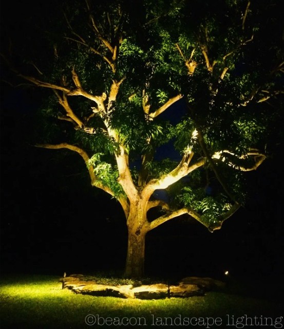 beacon-landscape-lighting-signature-photo
