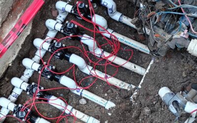 Delray Beach Irrigation Repair: Eight Sprinkler Valves Replaced in Just One Day!