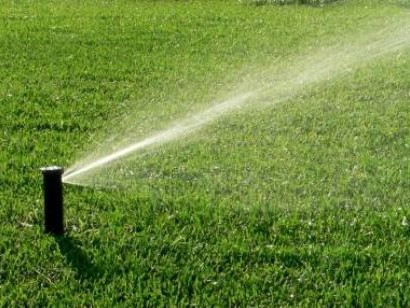 lawn-sprinkler-irrigation