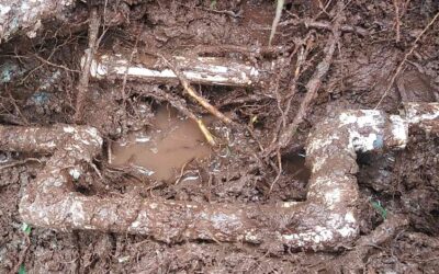 Wellington Irrigation Water Line Repair