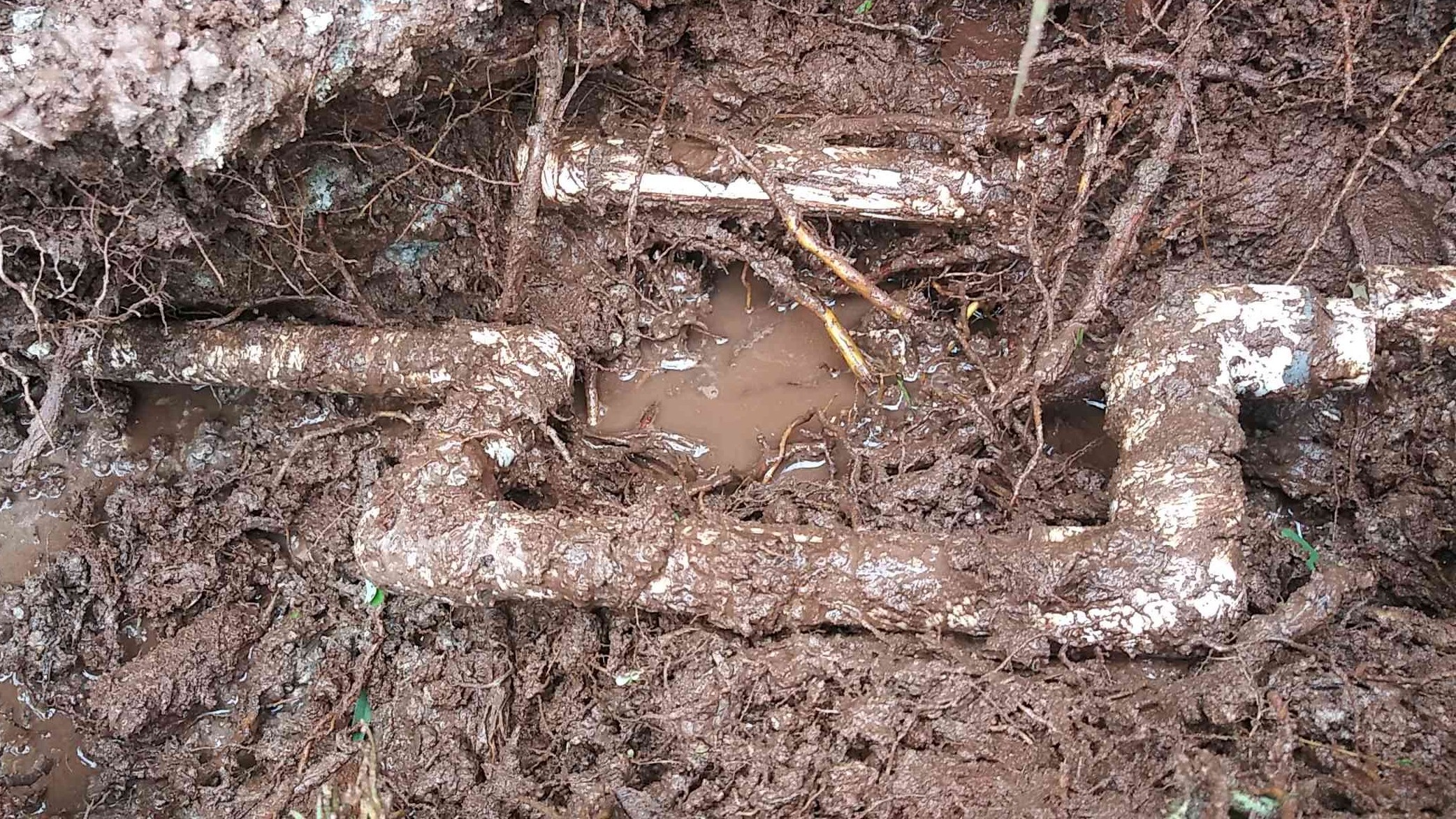 wellington-irrigation-line-broken